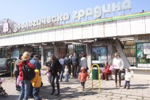 Софийският зоопарк получи стадо равнинни зебри