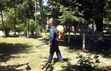 Община Варна започва обработка против кърлежи