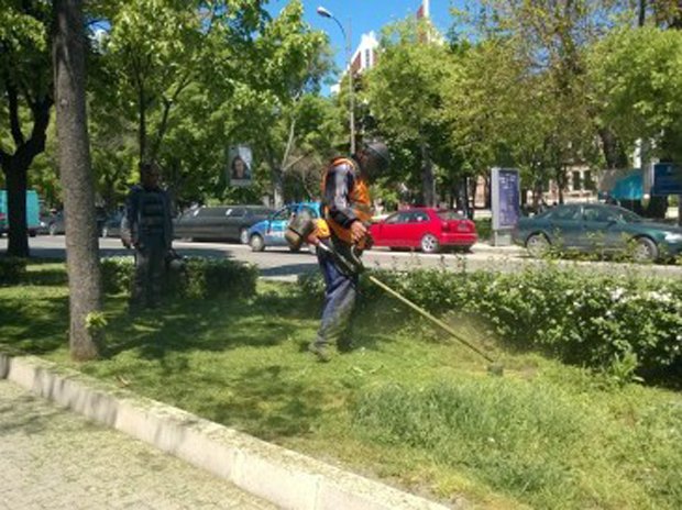 Започна пролетна коситба на зелени площи във Варна Започна пролетна коситба на зелени площи във Варна