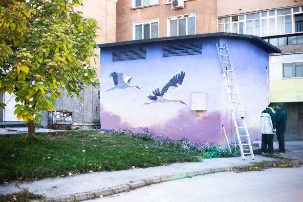 "ЧЕЗ Разпределение" монтира 636 платформи за щъркелови гнездав рамките на проекта "Живот за птиците", компанията обезопаси и 619 стълба