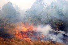 Mt Rila Fire Fully Localized and Contained