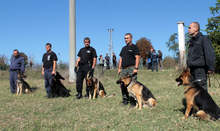Служебни кучета и водачите им от ОД на МВР в Търговище и Разград показа най-добри умения сред колегите си от четири подразделения
