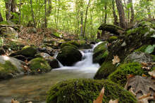 Фотоизложба показва уникалната природа и забележителностите на Беласица за рождения ден  на най-младия природен парк в България