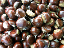 Пъстроцветен фестивал на кестена организира в село Коларово дирекцията на Природния парк "Беласица"