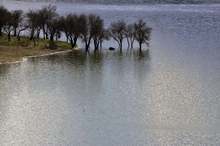 Всички в добричкото село Одринци ще бъдат евакуирани, жителите на Долина са изведени от домовете им 