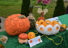 Кулинарен конкурс "Чудеса от вълчедръмска тиква" бе организиран във Вълчедръм