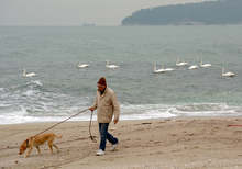 Институциите във Варна следят чистотата на морската вода чрез 20 пункта в едномилната зона