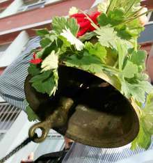 Около 11 000 ученици ще влязат днес в  училищата от Пернишка област