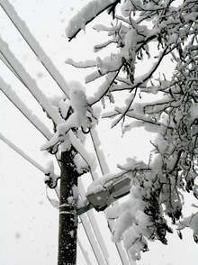 Екипи от Добрич, Варна и Шумен помагат в Габрово за възстановяване на електрозахранването