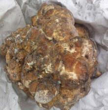 Неизвестни са откраднали 250 кг  трюфели за 25 000 лева  от склад в Русе