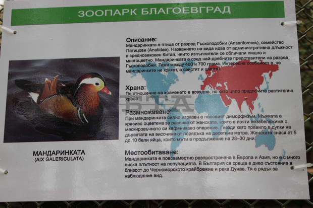 Подменят се информационните табели и се обособява стая за най-малките посетители в благоевградския зоопарк