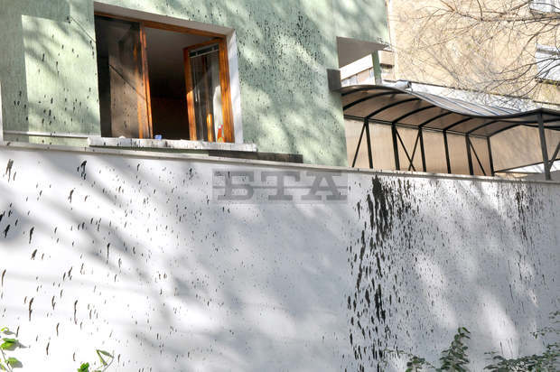 Неизвестни заляха с черна течност, наподобяваща боя къщата и колата на видинския кмет 