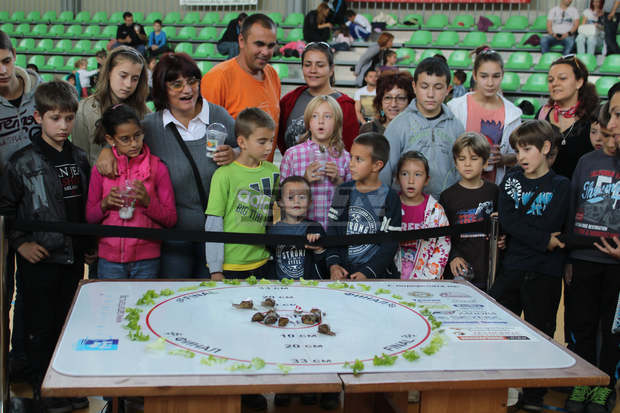 Общо 160 охлюви се състезаваха днес благотворително в полза на самотните майки
