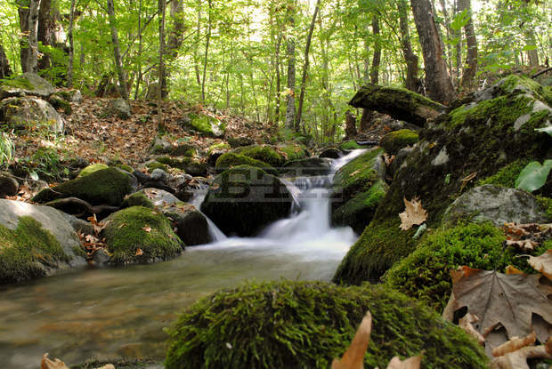 Фотоизложба показва уникалната природа и забележителностите на Беласица за рождения ден  на най-младия природен парк в България