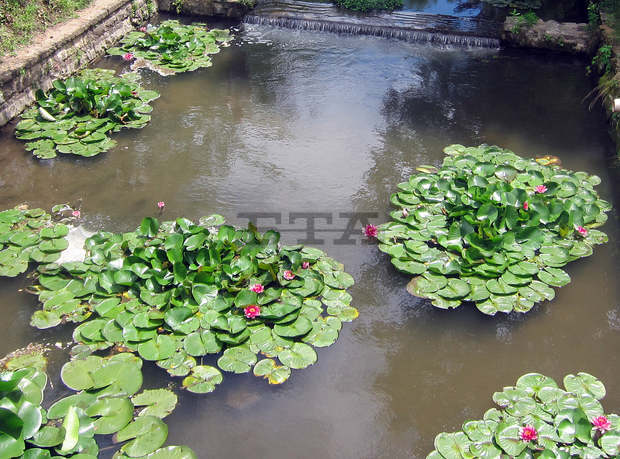 Под мотото "Есента в Кайлъка" в плевенския парк започва пленер с участието на осем професионални живописци