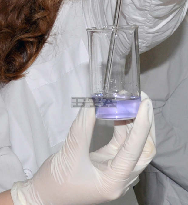 В Ямбол бе организиран парад на природните науки