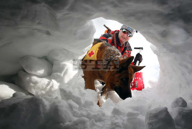 Държавата да поеме осигуровките на доброволци, настояват от планинските спасителни служби