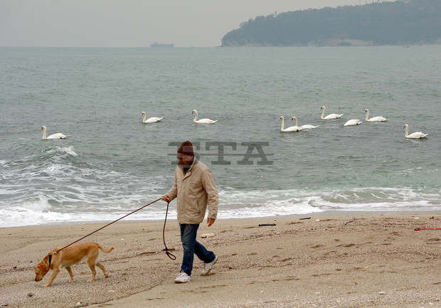 Институциите във Варна следят чистотата на морската вода чрез 20 пункта в едномилната зона