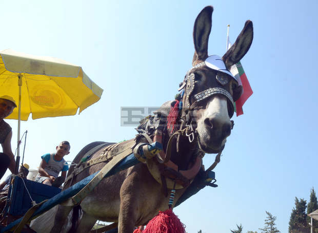 Хиляди зрители наблюдаваха  30-то  Биорали в Гурково