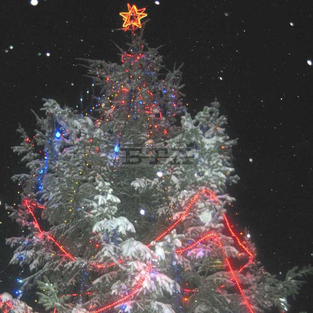 Със запалване на светлините на коледната елха в Белоградчик започнаха проявите, посветени на коледните и новогодишни празници