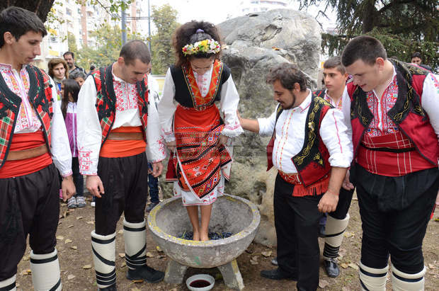 В Стара Загора десетки граждани се събраха на гроздобер на Орфеева лоза