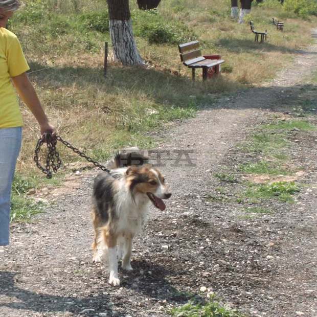Площадки за разходка на домашни любимци  се изграждат във всички квартали  на Силистра