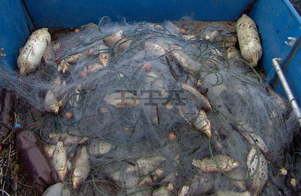 Инспектори са извадили незаконни рибарски мрежи и уреди от Дуранкулашкото езеро и морето 