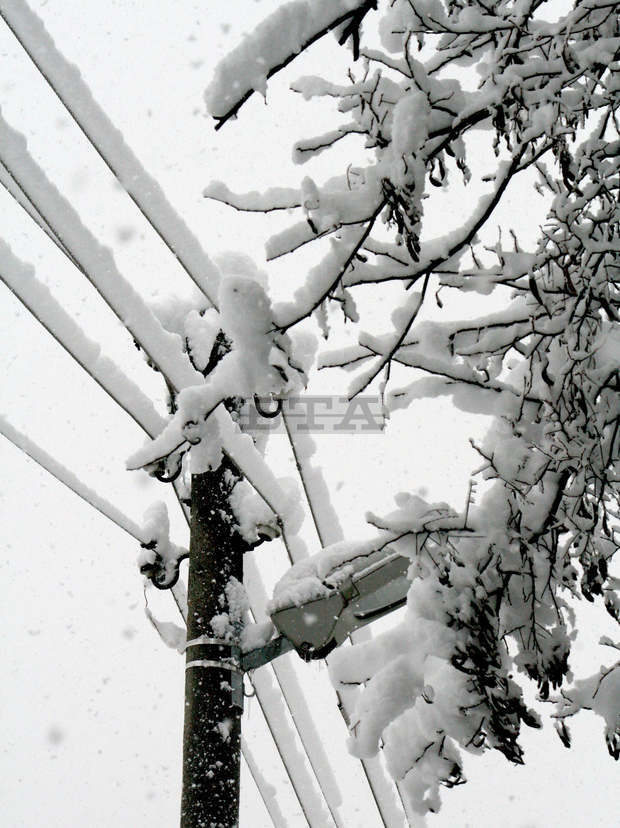 Екипи от Добрич, Варна и Шумен помагат в Габрово за възстановяване на електрозахранването