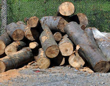 По 10 куб.м дърва за огрев на преференциална цена ще получават домакинствата в Трънско