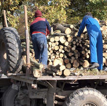 Общо 83 наказателни постановления за 13 750 лв.  са издадени от Регионалната дирекция  по горите в Кюстендил от началото на годината 