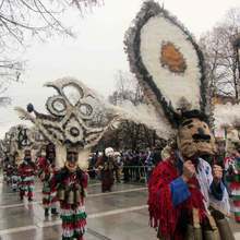 Сурвакарската група на брезнишкото село Долна Секирна е  " Победител на публиката" в 24-тия Международен фестивал на маскарадните игри