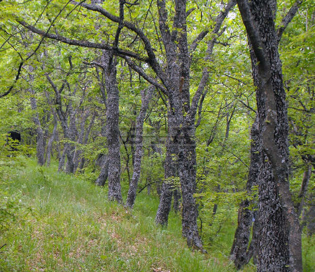 Правила за опазване на околната среда написаха и оформиха в брошура  ученици от Търговище