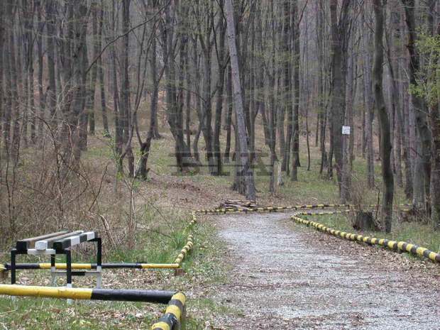 С конкурс, открит урок и поход  ще бъде отбелязан Денят на Природен парк "Сините камъни" 