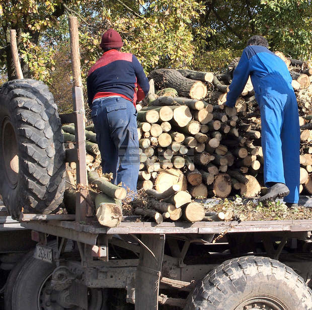 Общо 83 наказателни постановления за 13 750 лв.  са издадени от Регионалната дирекция  по горите в Кюстендил от началото на годината 