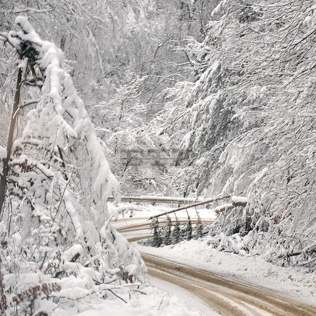 Снежната покривка в планината в Габровско е 15 сантиметра; заснежените пътища се почистват и се опесъчават 