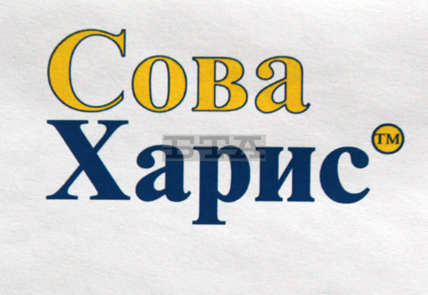 "Сова Харис": Засега не можем да очакваме значителни размествания в подкрепата за различните политически субекти