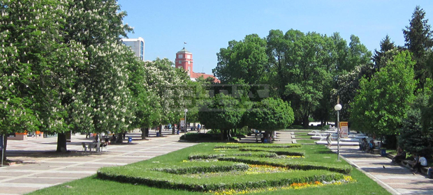 Плевен ще отбележи Националния ден за безопасност на движението по пътищата с демонстрации в градската градина