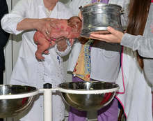 Възстановки на обичаи, изложби на плетива и храни организират читалищата за Бабинден в Търговищко