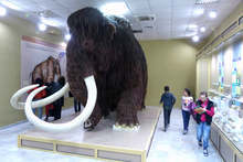 Термокамера ще мери температурата на посетителите в Екомузея в Русе