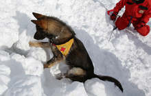 Доброволци от Калофер и кучета се включиха в издирването на двамата туристи в Стара планина