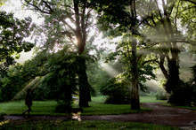 От понеделник в София започва обработването на площи срещу кърлежи