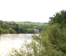 В Плевен се подготвя обявяване на три нови защитени зони за природни местообитания, дива природа и фауна