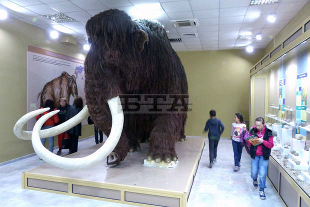 Термокамера ще мери температурата на посетителите в Екомузея в Русе