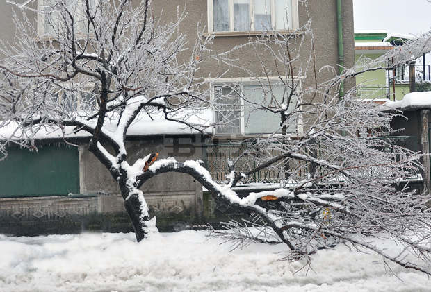 Смолян е в бедствено положение заради вятъра