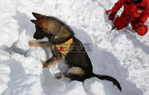 Доброволци от Калофер и кучета се включиха в издирването на двамата туристи в Стара планина