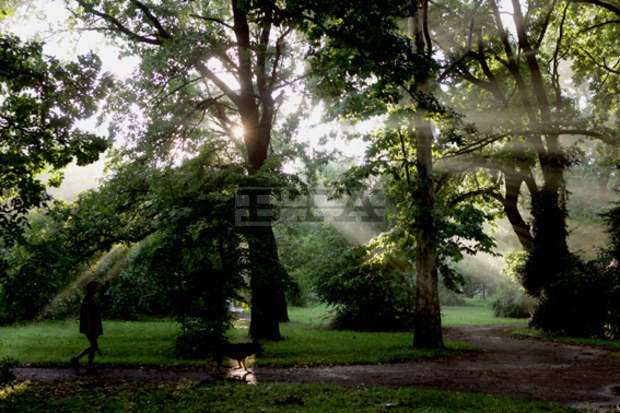 От понеделник в София започва обработването на площи срещу кърлежи