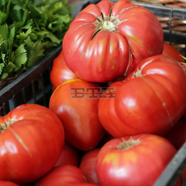 Разнообразяваме избора на домати с локално произведени и нетрадиционни сортове и у нас