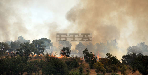 Горските стопанства в Шуменско са в готовност за справяне с пожари