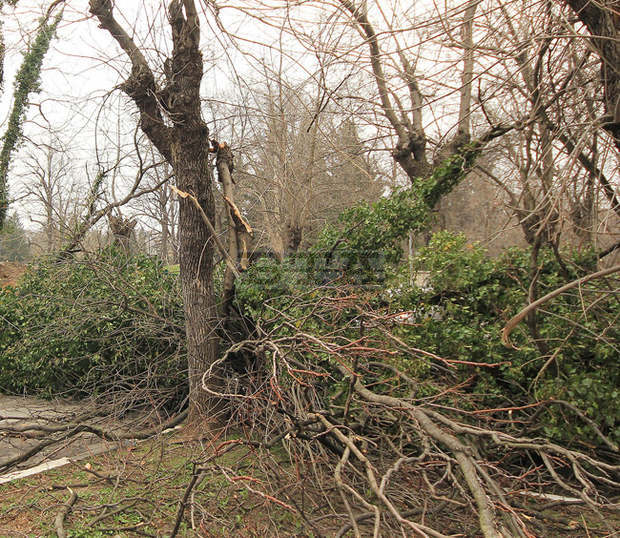 Сливенски пожарникари са се отзовали на сигнали за паднали дървета и обърнати автомобили вследствие на силния вятър