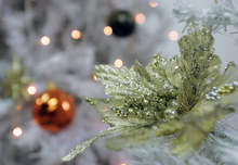 Конкурс за най-красива коледна украса организират в община Гулянци